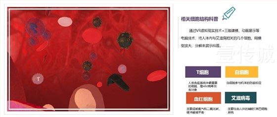 图片 9