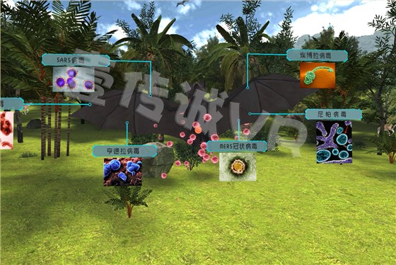 VR生命安全,VR野生动物,VR动物传染病