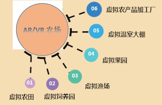 图片11