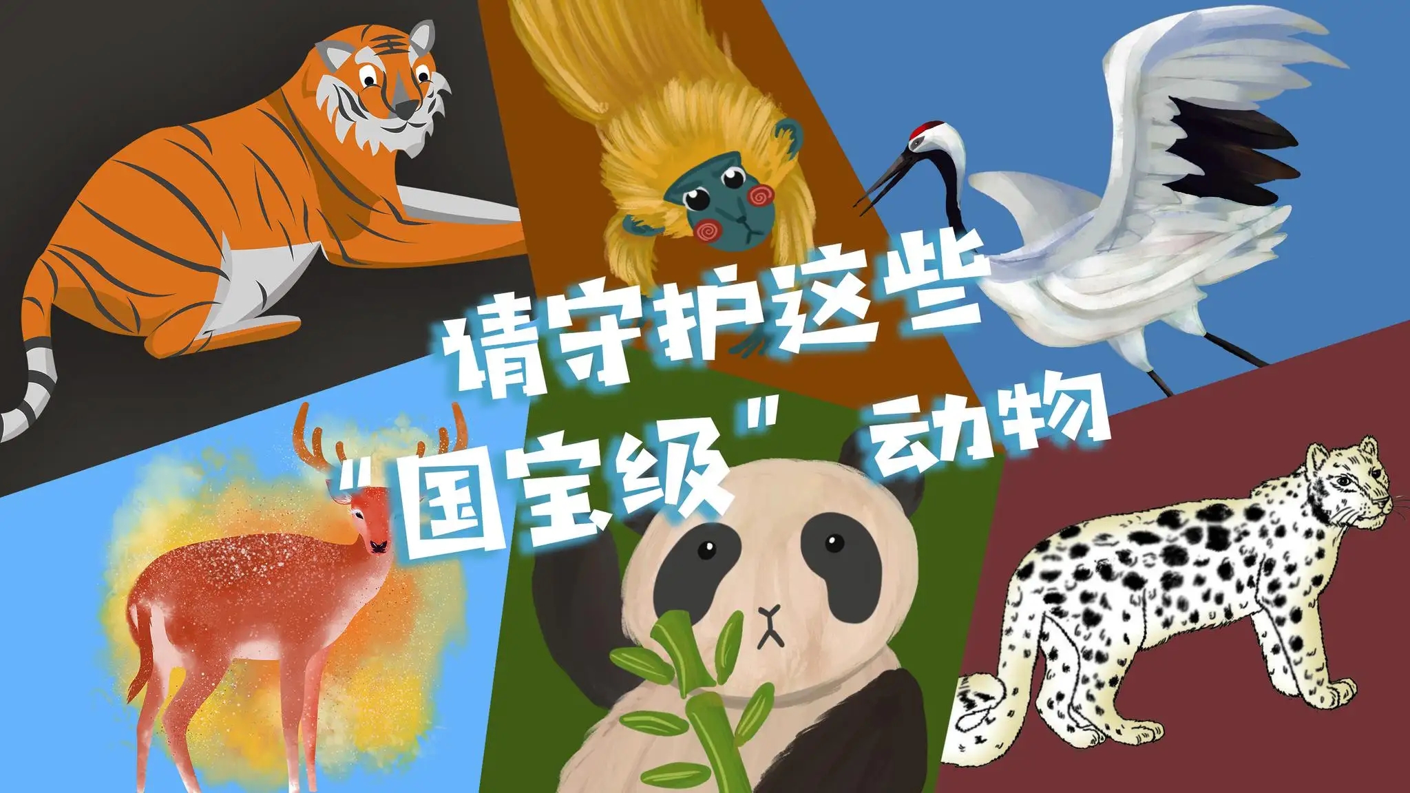 VR野生动物与传染病科普